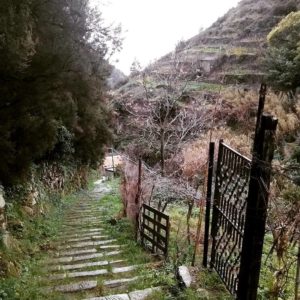 2016. January. Cinque Terre. IT.