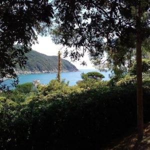 2016. August. Sestri Levante. IT.