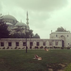 2016. August. Istanbul. TR.