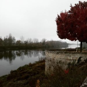 2017. November. Chinon. FR.